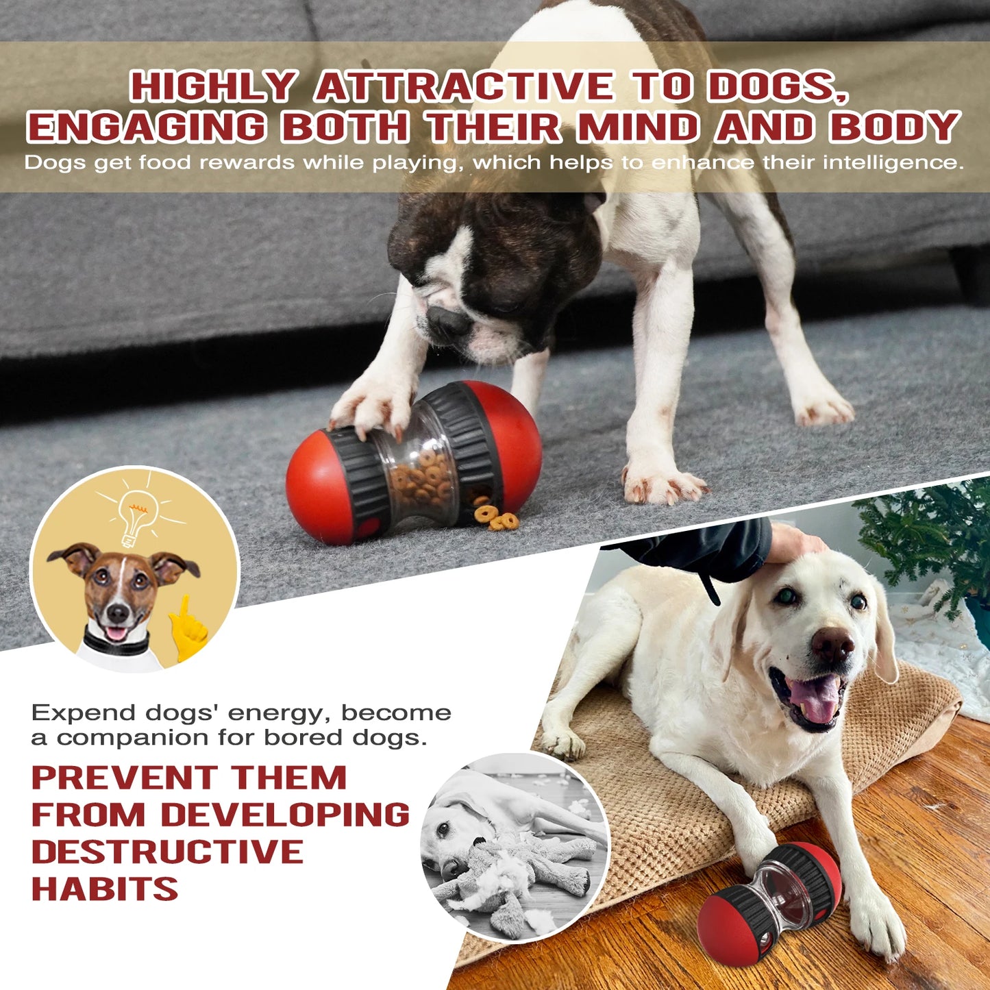 Stimulating Slow Feeder for Dogs
