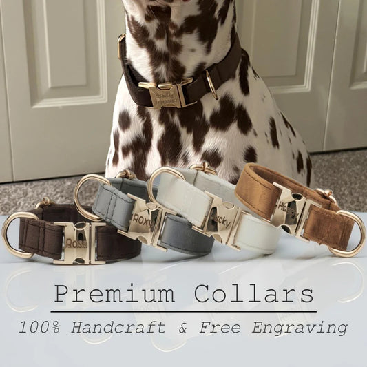 PREMIUM DOG COLLAR