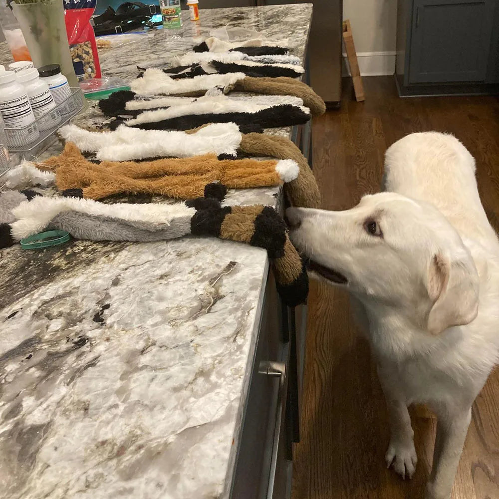 STUFFINGLESS Animal Shaped Dog Toy with Squeakers