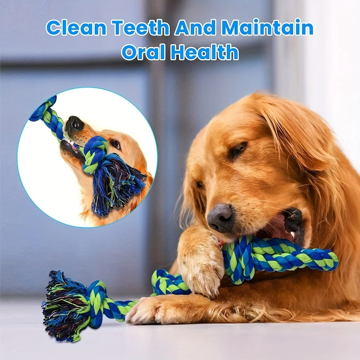 Durable Tug Of War Knot Dog Toy