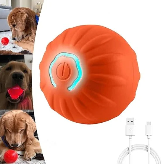 Shaky Ball - Automatic Moving Dog Toy