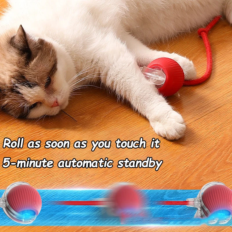 AUTOMATIC ROLLING BALL - RECHARGABLE !