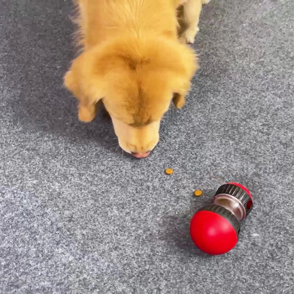 Stimulating Slow Feeder for Dogs