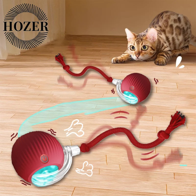 AUTOMATIC ROLLING BALL - RECHARGABLE !