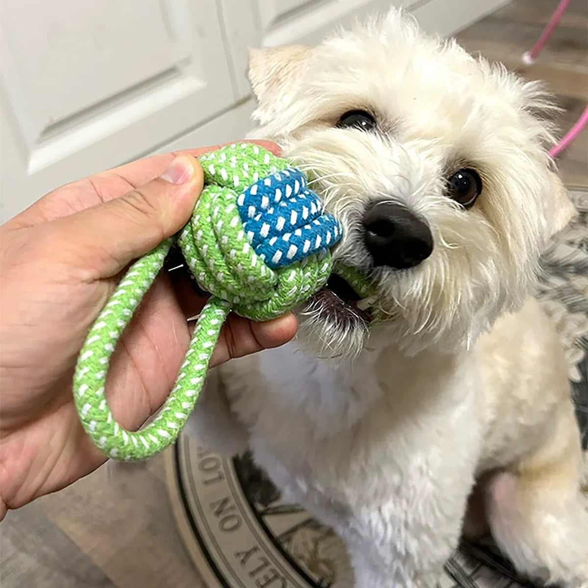 HEAVY DUTY ROPE TOY FOR POWER CHEWERS