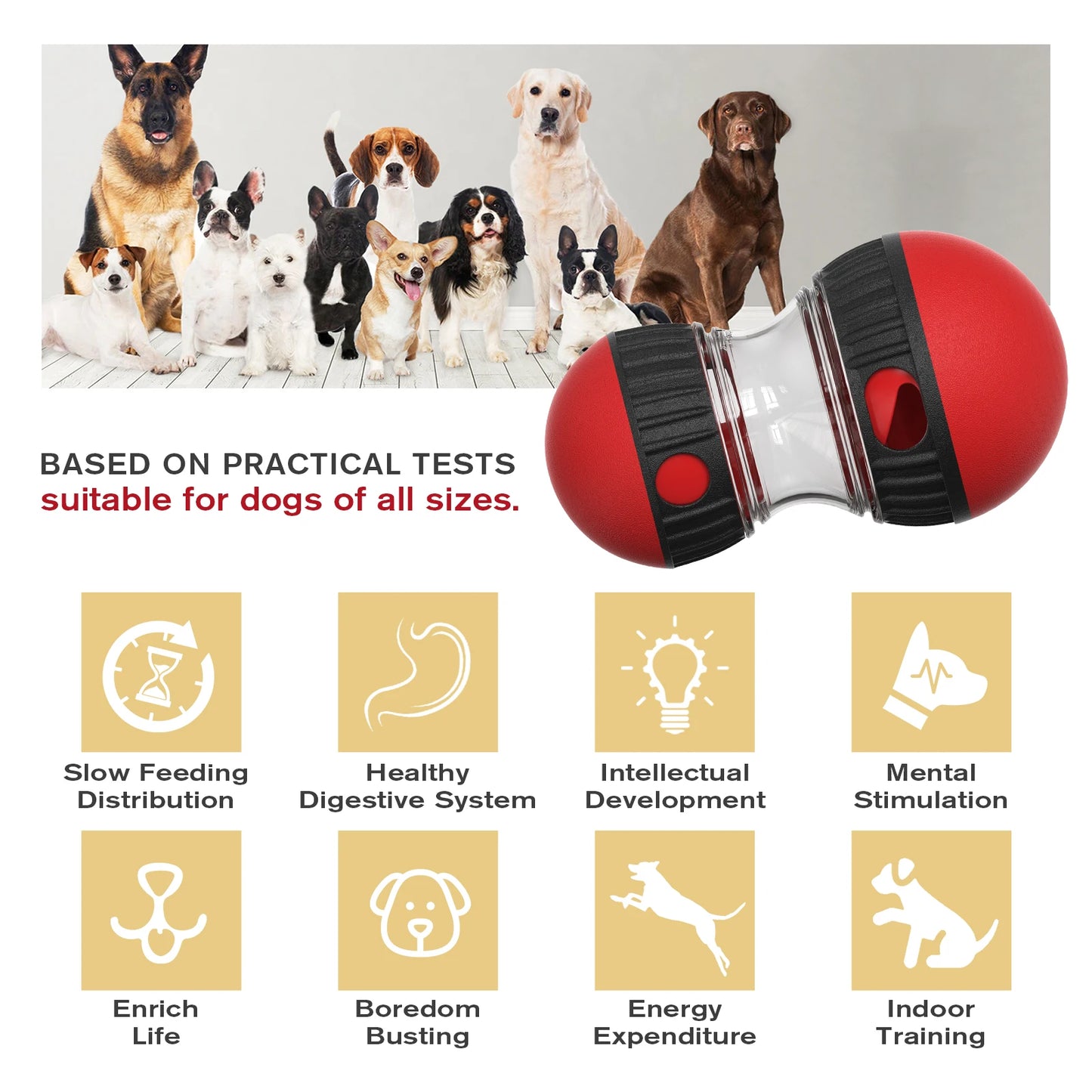 Stimulating Slow Feeder for Dogs