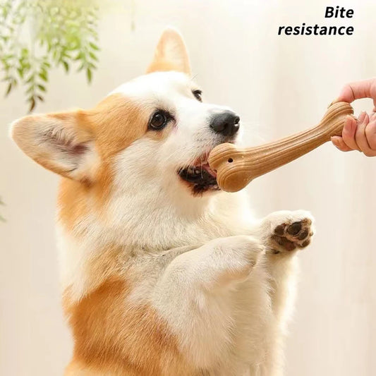 Bite Resistant Dog Chew Toys - Bone Shaped