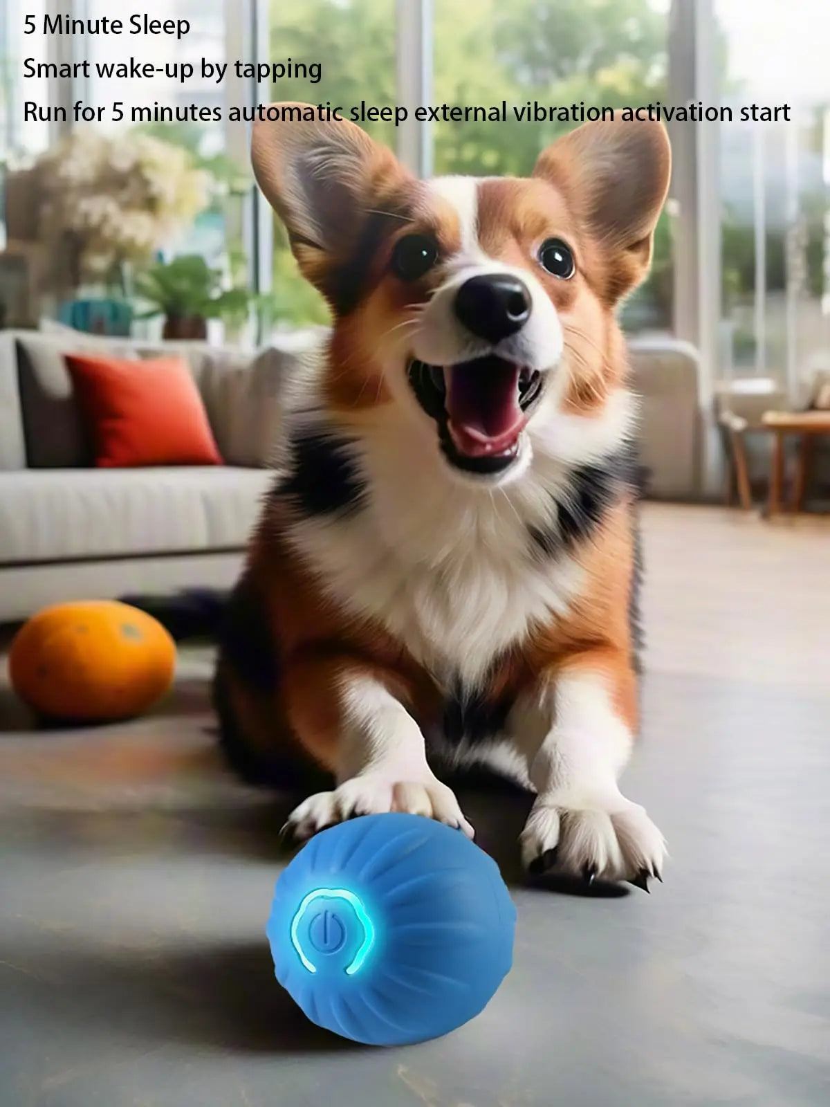 Shaky Ball - Automatic Moving Dog Toy