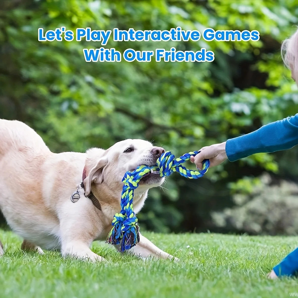 Durable Tug Of War Knot Dog Toy