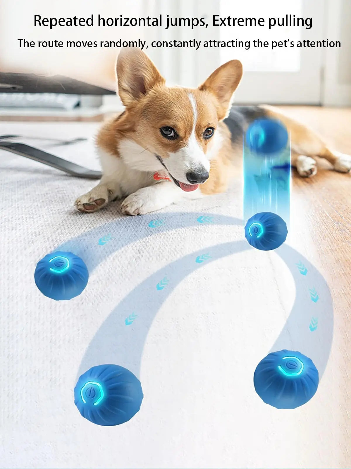 Shaky Ball - Automatic Moving Dog Toy