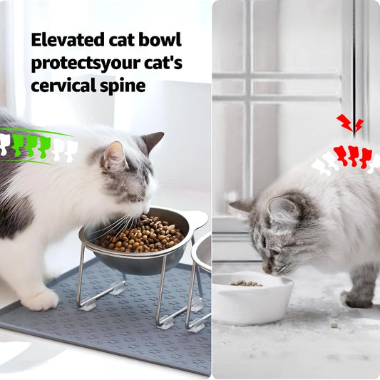 STAINLESS STEEL RAISED CAT BOWL WITH 15Β° ELEVATED DESIGN
