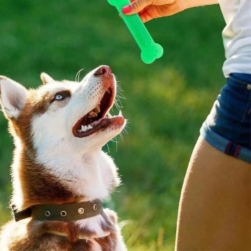 Rubber Bone - Toothbrush Dental Care