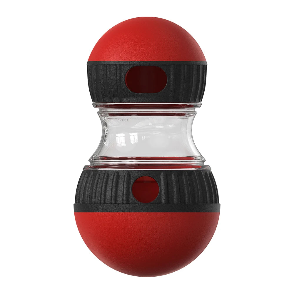 Stimulating Slow Feeder for Dogs