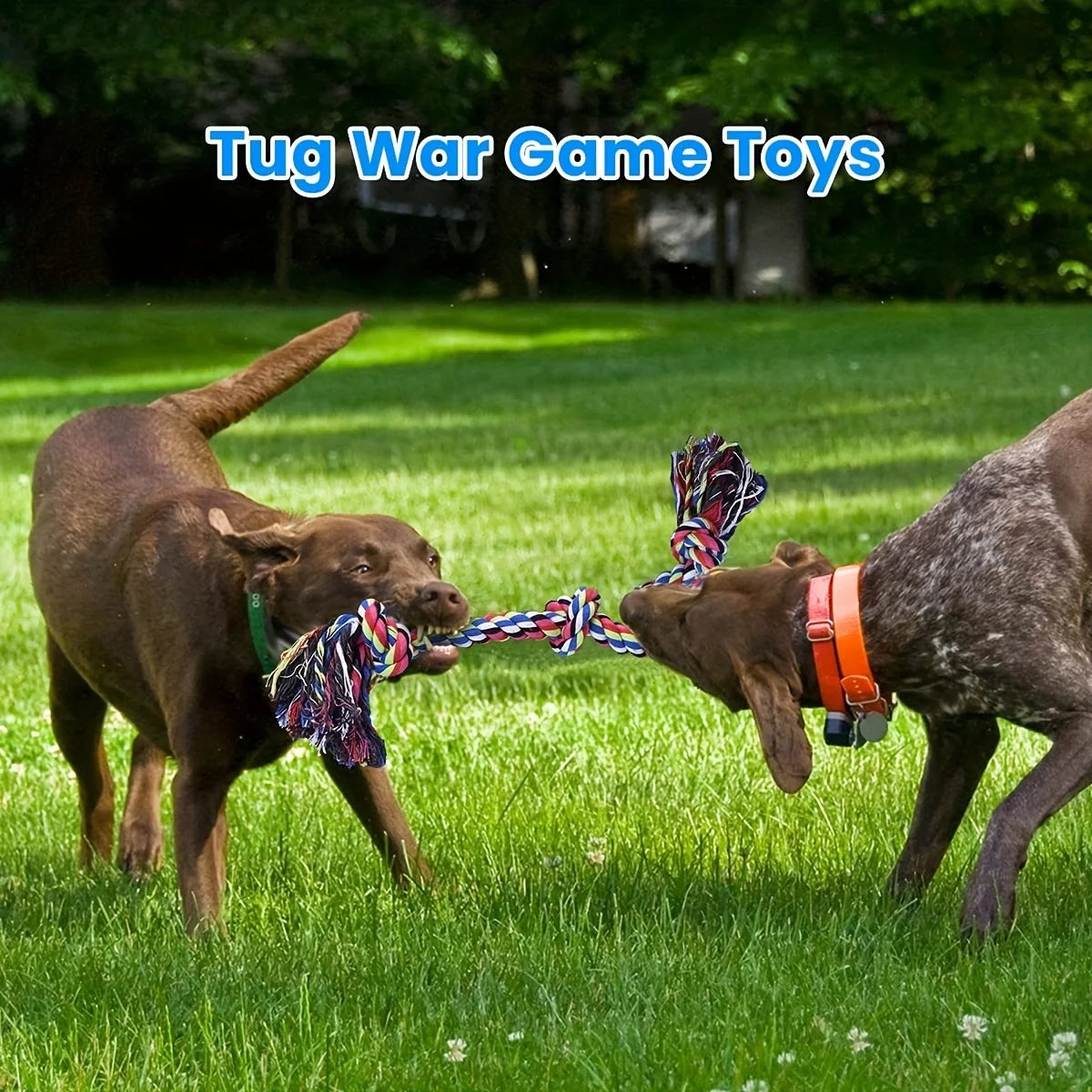 Durable Tug Of War Knot Dog Toy