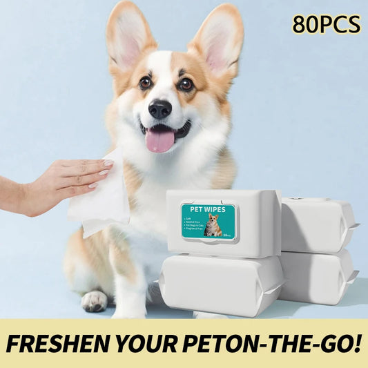 80PCS/pack HYGENIC DISPOSABLE PET WIPES