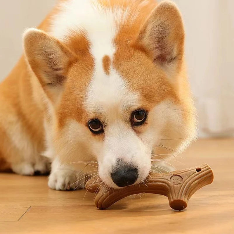 Bite Resistant Dog Chew Toys - Bone Shaped