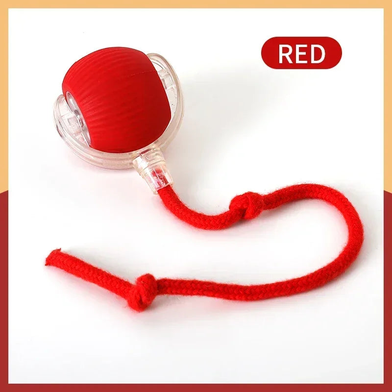 AUTOMATIC ROLLING BALL - RECHARGABLE !