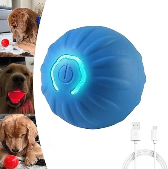 Shaky Ball - Automatic Moving Dog Toy