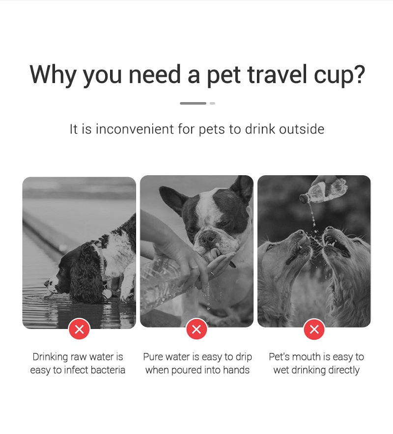 PORTABLE DOG WATER BOWL