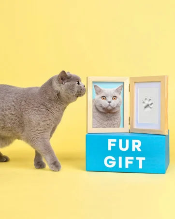 PAW PRINT TOUCH INK PAD DIY