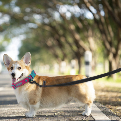 ULTRA DURABLE DOG LEASH