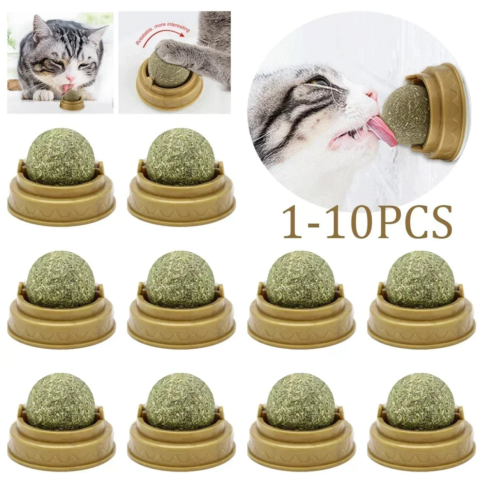 1-10PC PET CATNIP EDIBLE BALL