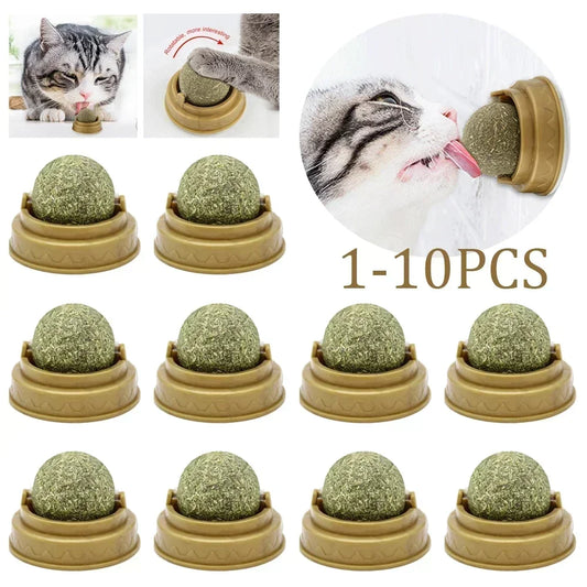 1-10PC PET CATNIP EDIBLE BALL