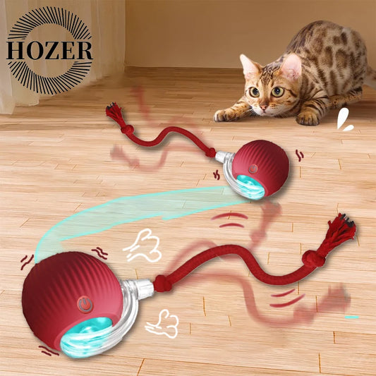AUTOMATIC ROLLING BALL - RECHARGABLE !