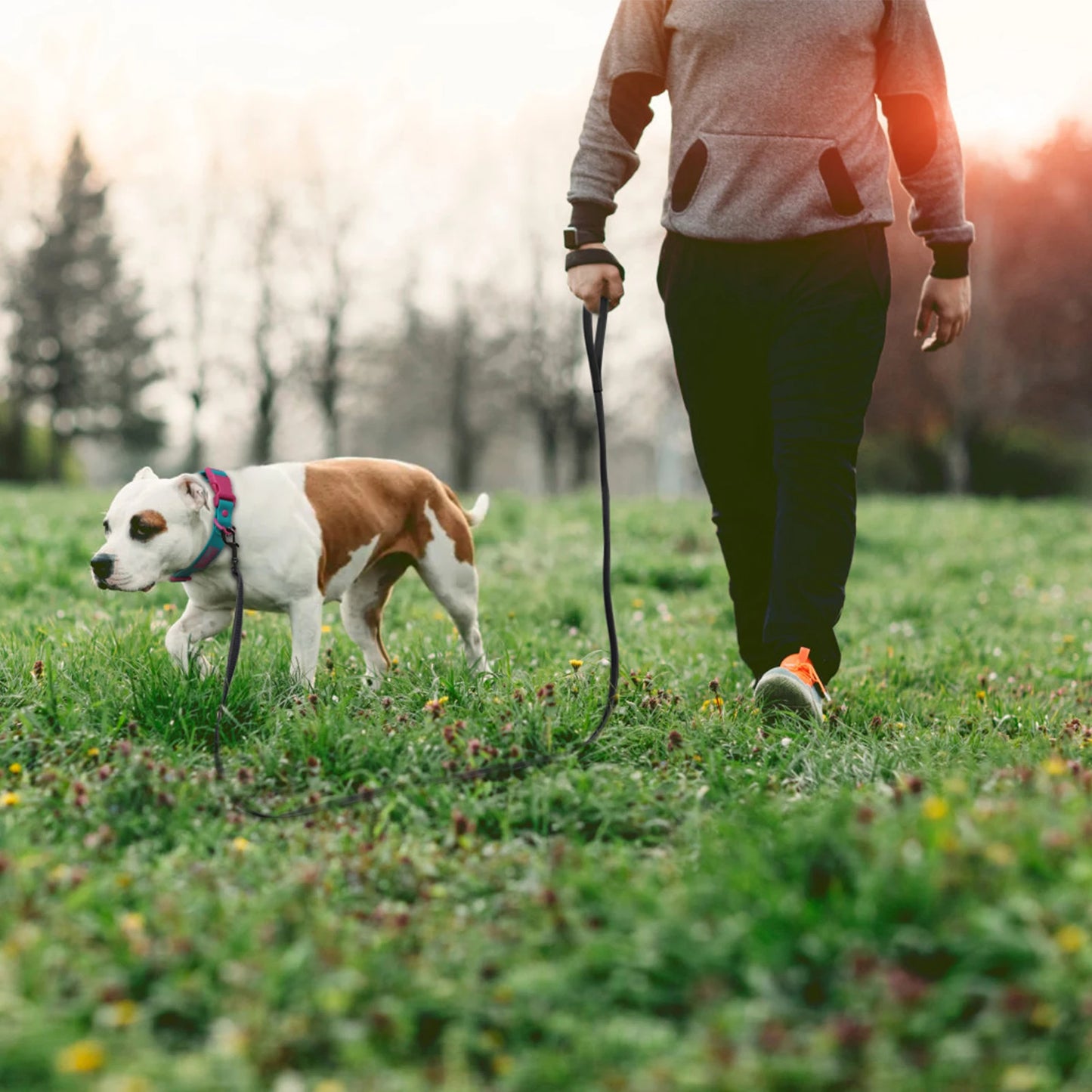 ULTRA DURABLE DOG LEASH