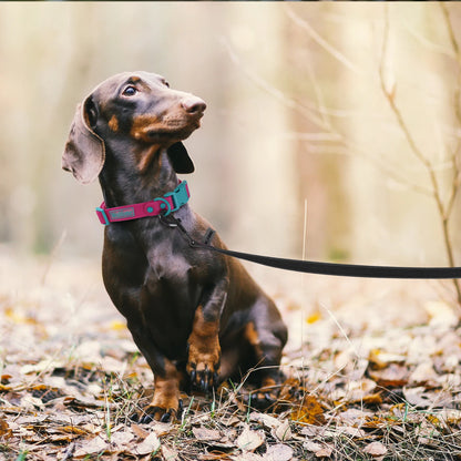 ULTRA DURABLE DOG LEASH