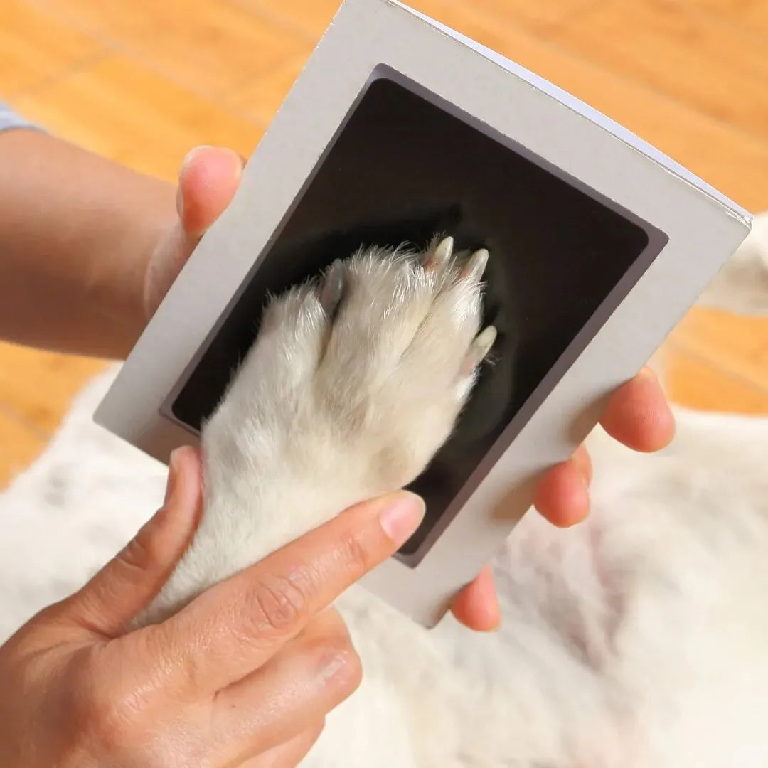PAW PRINT TOUCH INK PAD DIY