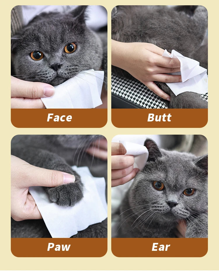 80PCS/pack HYGENIC DISPOSABLE PET WIPES