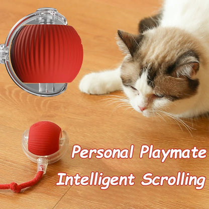 AUTOMATIC ROLLING BALL - RECHARGABLE !