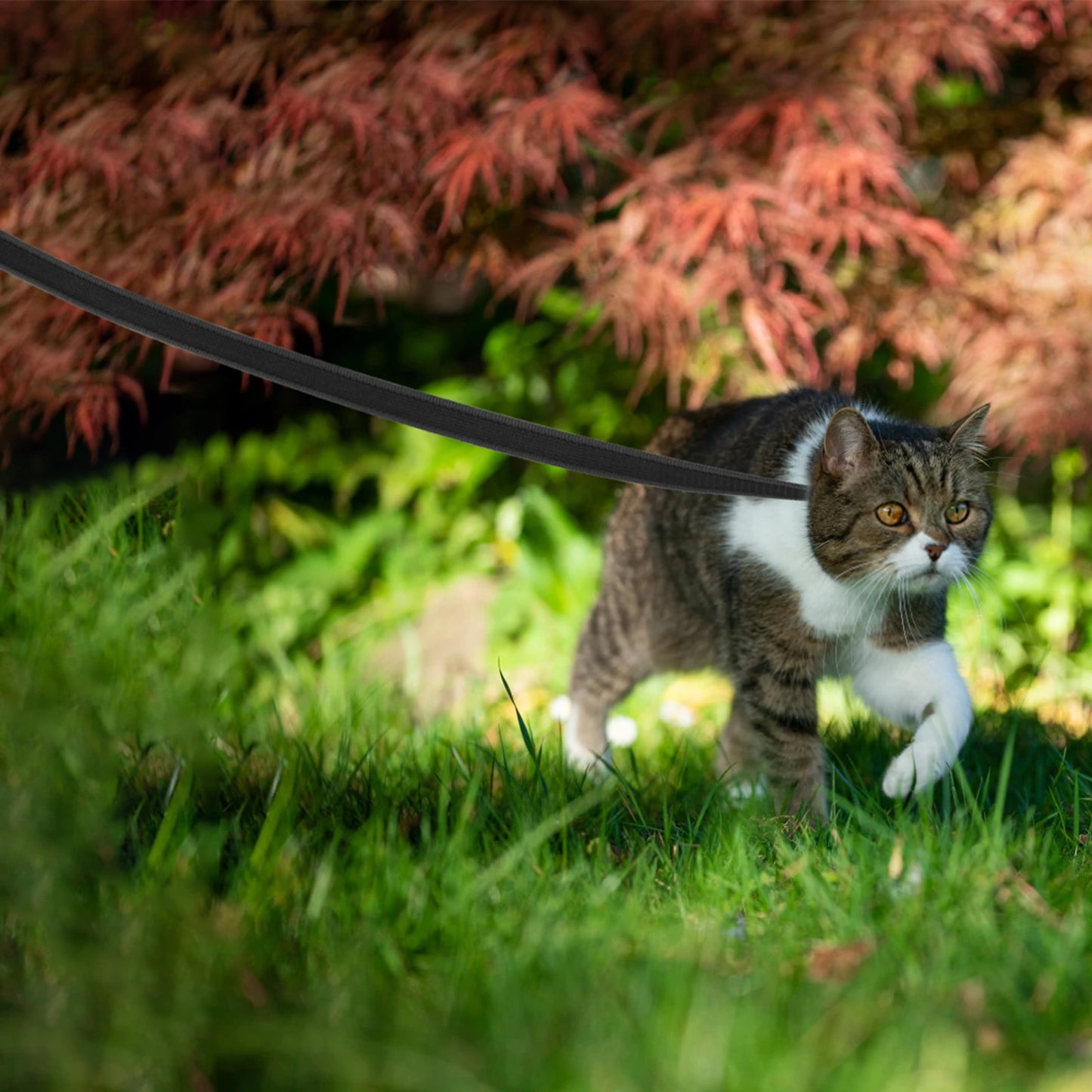 ULTRA DURABLE DOG LEASH