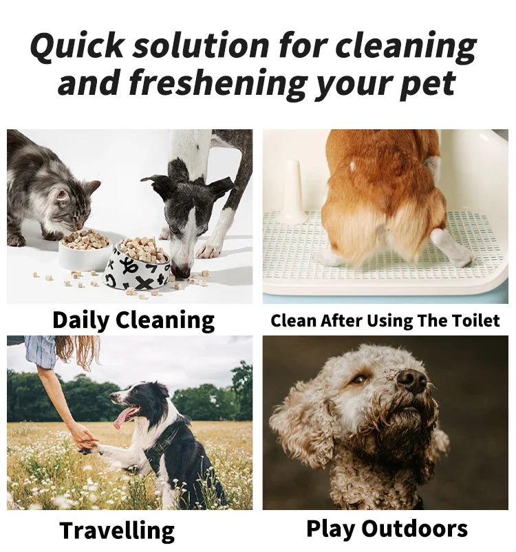 80PCS/pack HYGENIC DISPOSABLE PET WIPES