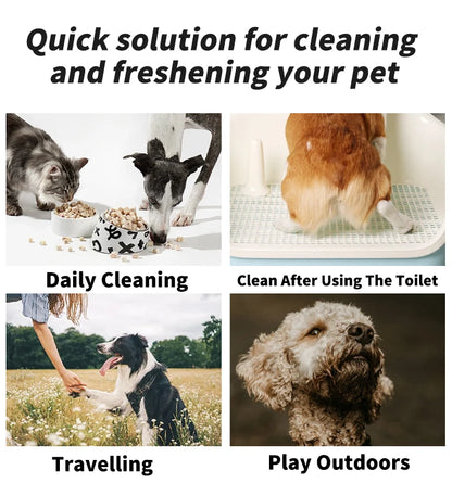 80PCS/pack HYGENIC DISPOSABLE PET WIPES