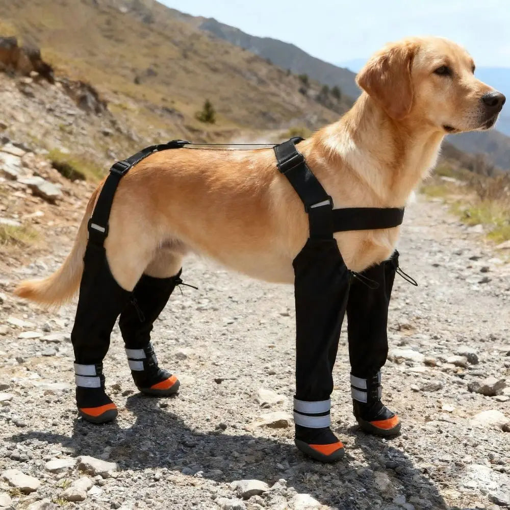 EASY TO WEAR SUSPENDER BOOTS - WATERPROOF
