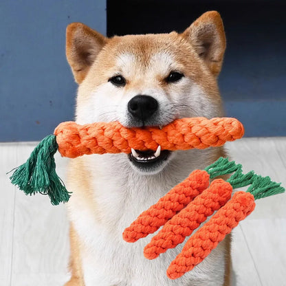 1Pcs BRAIDED CARROT MOLLAR CLEANING DOG TOY